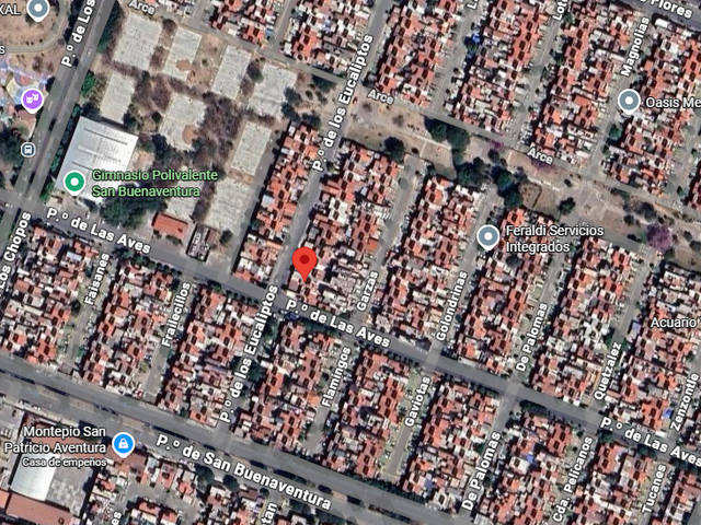 place photo 7