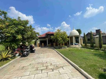 place photo 13