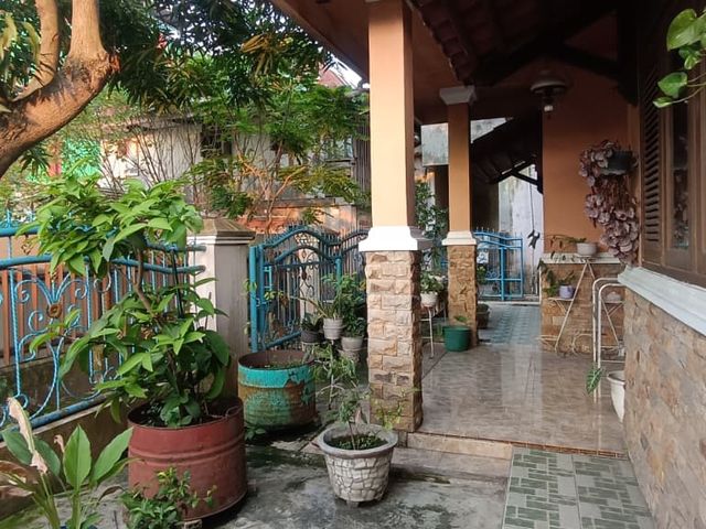 place photo 9