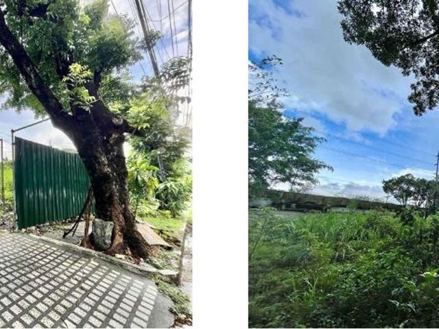 1,000 sqm Residential Vacant Lot for Sale in Bel-Air 4 Village, near Urdaneta, Forbes Park, Dasmariñas Village