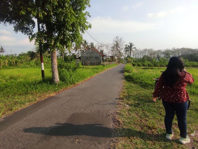 place photo 8
