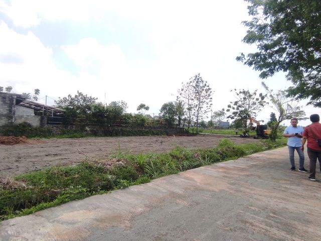 place photo 7