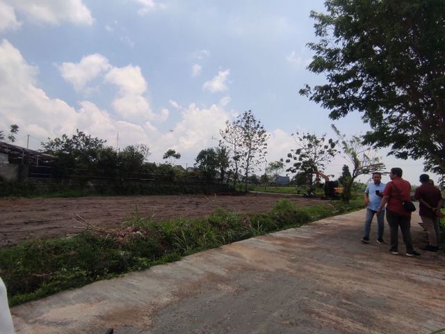 place photo 8