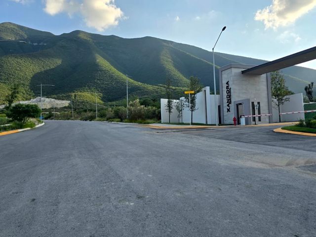 place photo 37