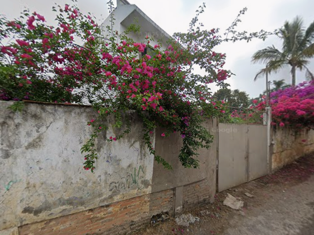 place photo 2