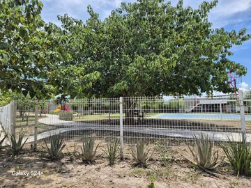 place photo 31