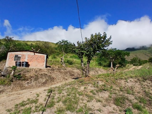 place photo 46
