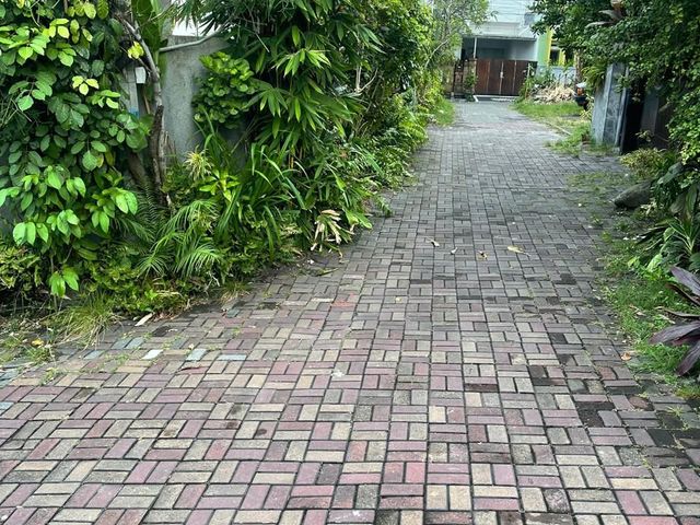 place photo 14