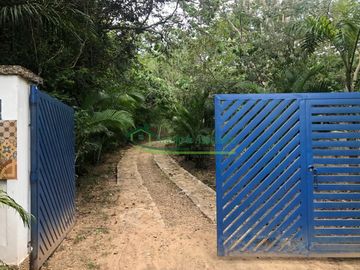 place photo 20