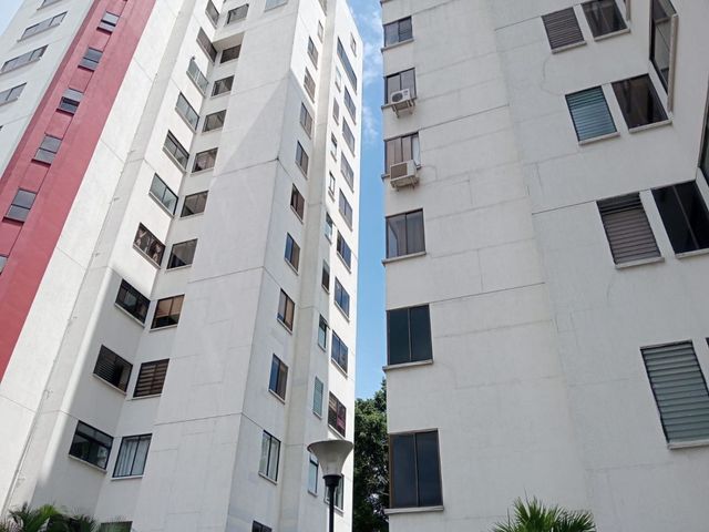 place photo 42