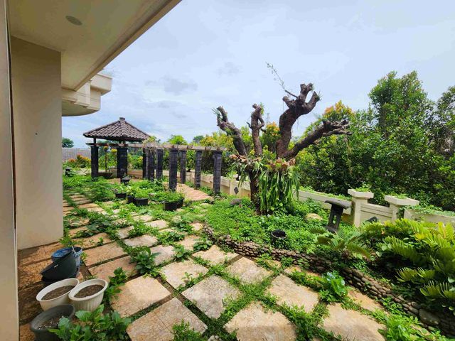 place photo 17