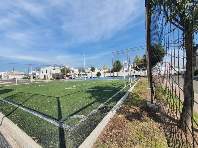 place photo 41