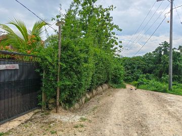 place photo 22
