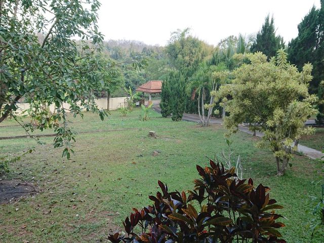 place photo 45