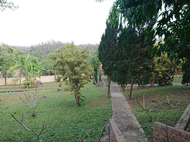 place photo 46