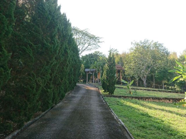 place photo 47