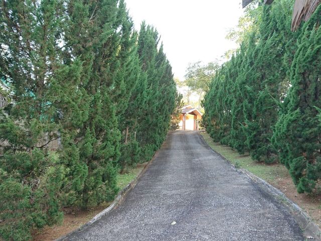 place photo 48