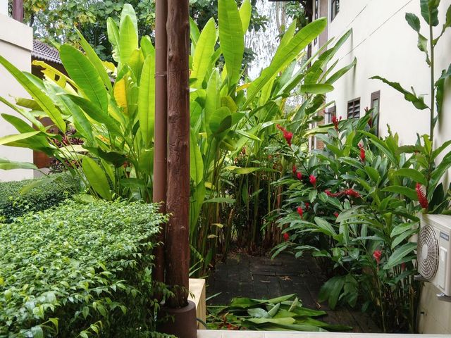 place photo 40