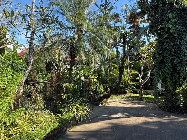 place photo 71