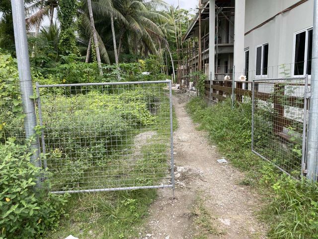place photo 18