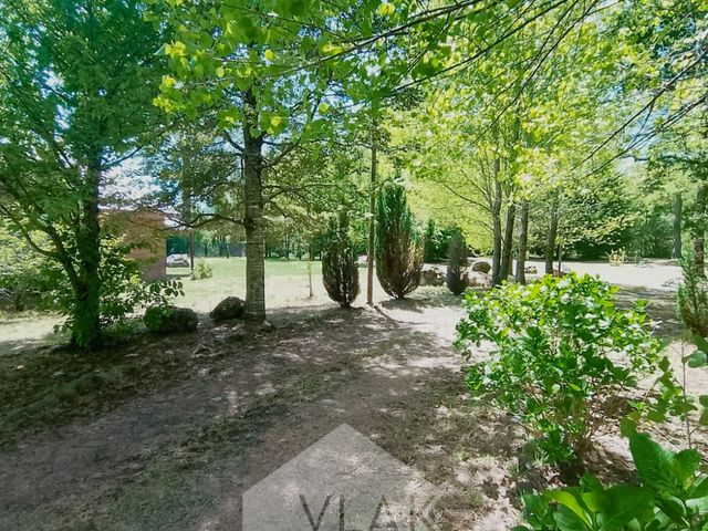 place photo 41