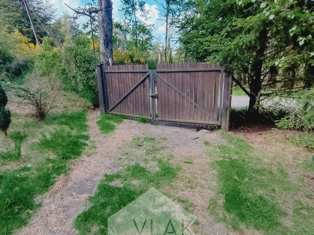 place photo 44