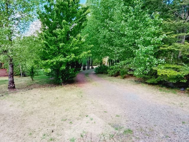 place photo 53