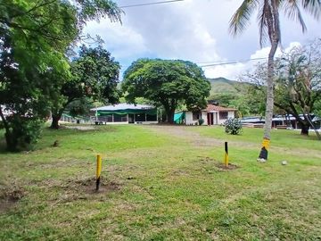 place photo 36