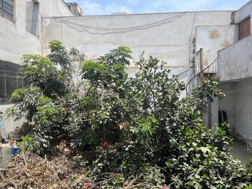 place photo 26
