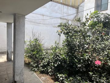 place photo 38