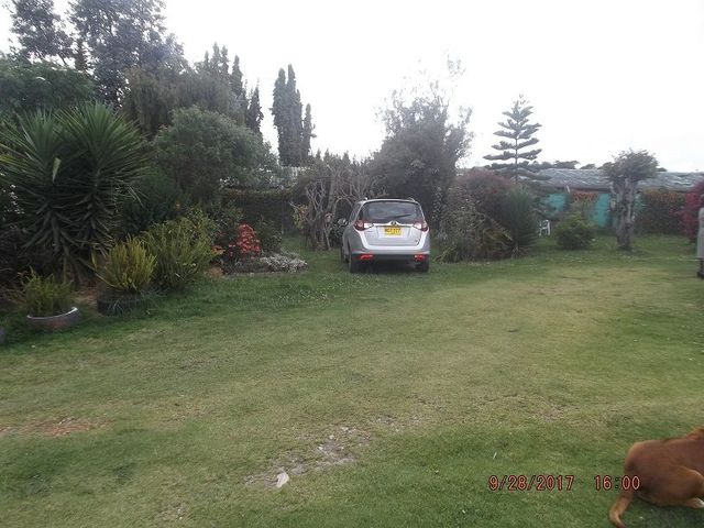 place photo 29