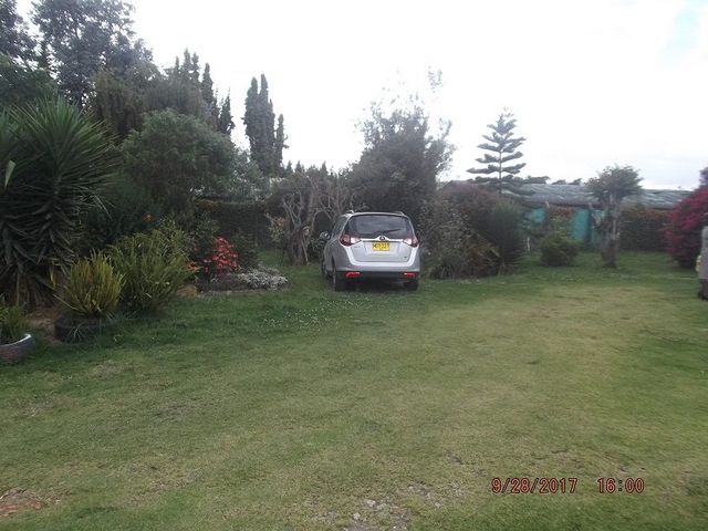 place photo 34