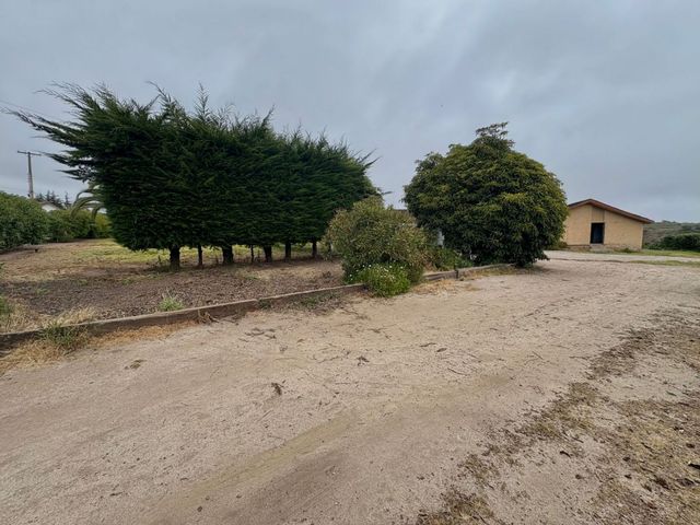 place photo 26