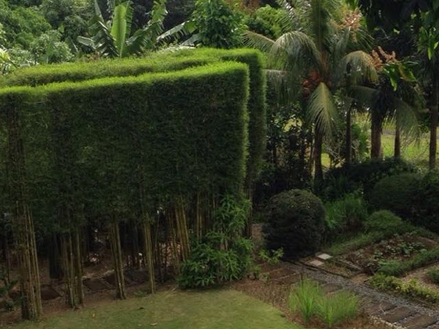 place photo 67