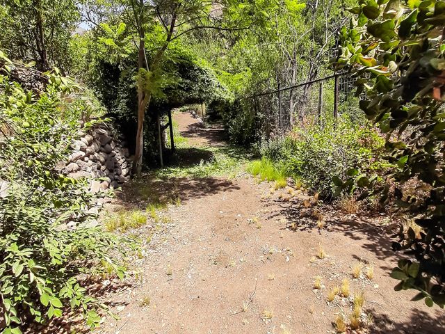 place photo 69