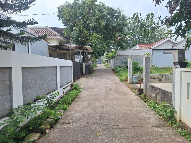 place photo 14