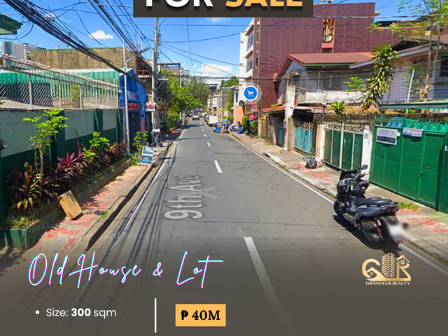 For Sale: Old House & Lot located at 9th ave. Cubao, Quezon City