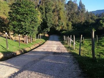 place photo 27