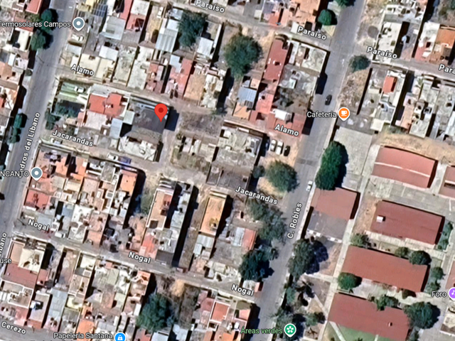 place photo 12
