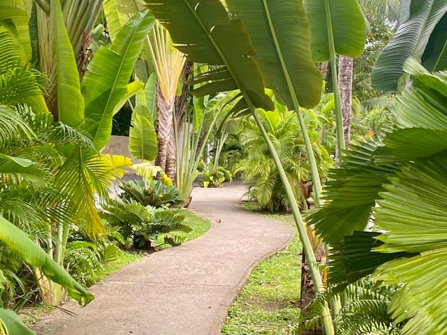 place photo 37