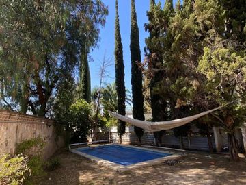 place photo 26