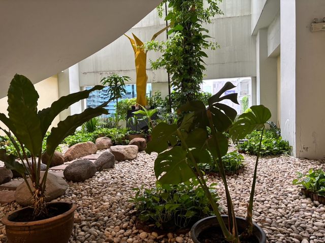 place photo 43