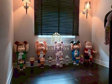 place photo 19