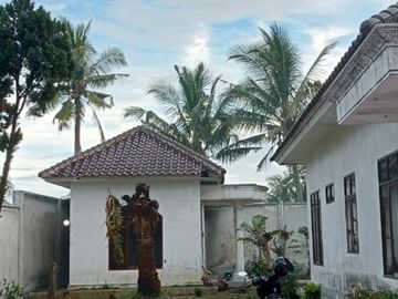 place photo 17