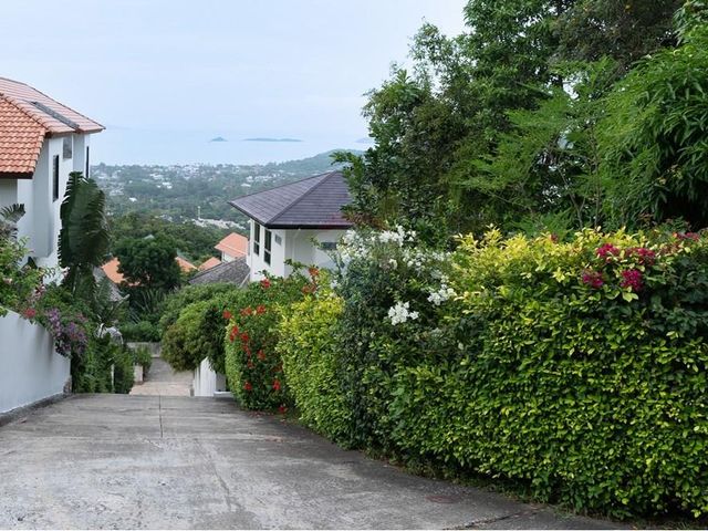 place photo 33