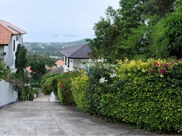place photo 33