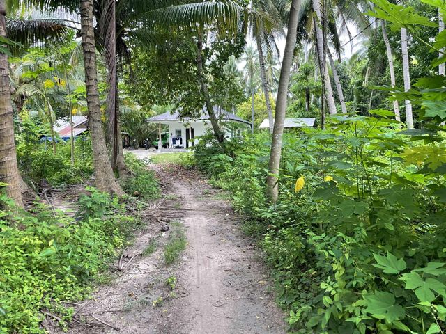 place photo 32