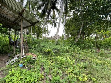 place photo 37