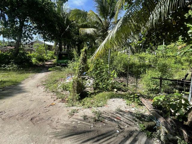 place photo 34