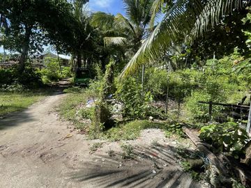 place photo 34
